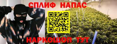 стаф Бердск