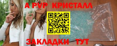 стаф Бердск
